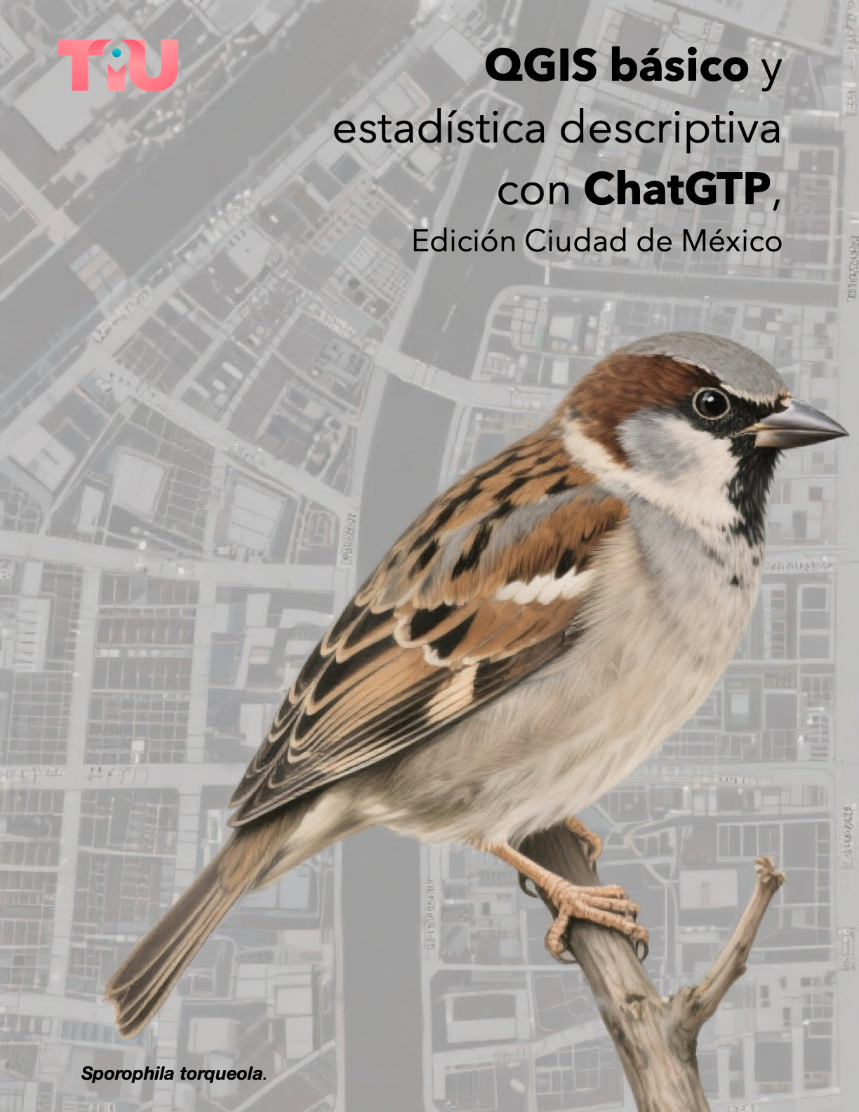 QGIS básico y estadística descriptiva con ChatGTP, Edición Ciudad de México
